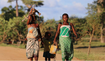 Digital & AI Awareness Workshop — Schools Edition