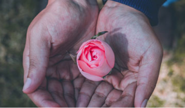 Saraswati Puja 2025 — Felicitation & Education Drive